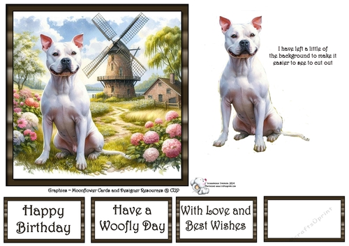 Windmill Dogs (8) 3