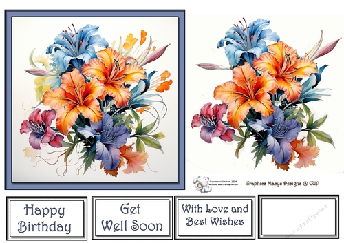 Colorful Flowers 2