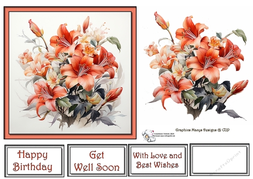 Colorful Flowers 4