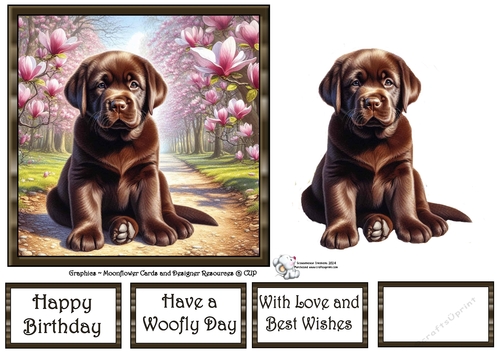 Magnolia Grove Pups (7) 1
