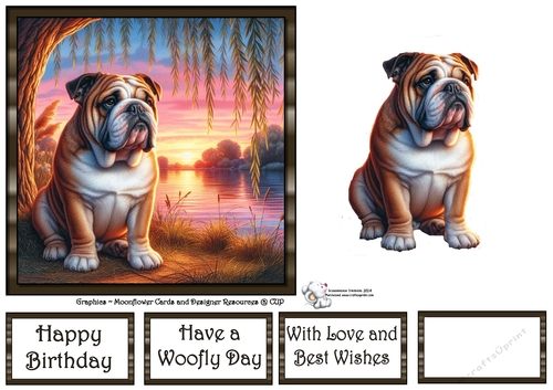 Willow Sunset Dogs (9) 1