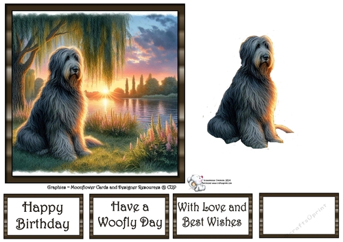 Willow Sunset Dogs (9) 3