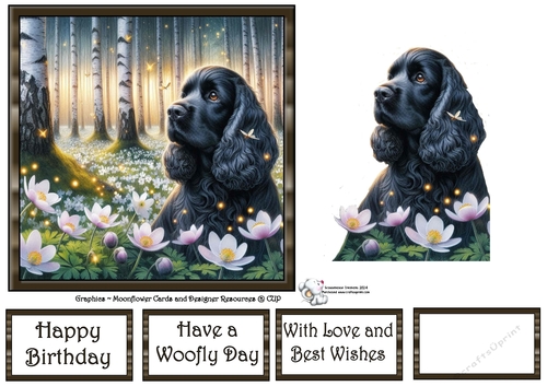Beautiful Birch Forest Dogs (5) 1