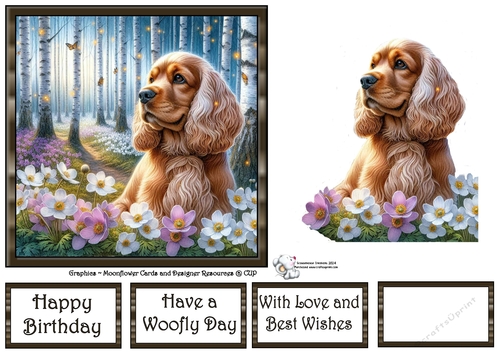 Beautiful Birch Forest Dogs (5) 2