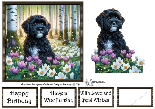 Beautiful Birch Forest Dogs (5) 3