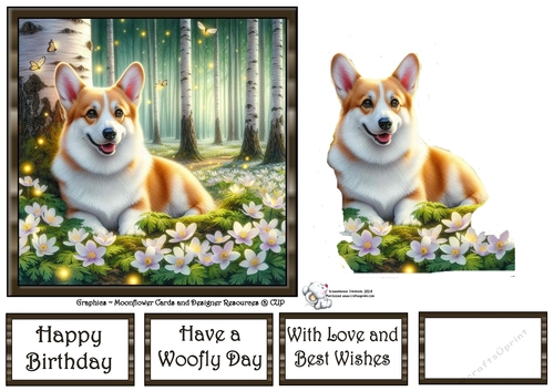 Beautiful Birch Forest Dogs (6) 2