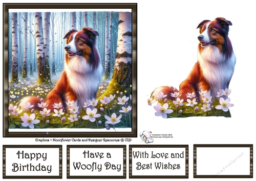 Beautiful Birch Forest Dogs (6) 3