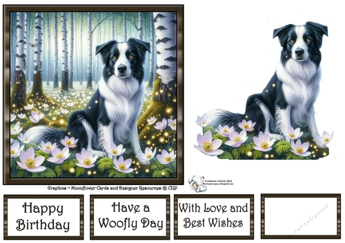 Beautiful Birch Forest Dogs (6) 4