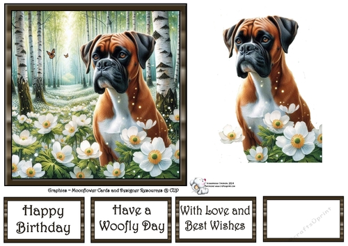 Beautiful Birch Forest Dogs (7) 1