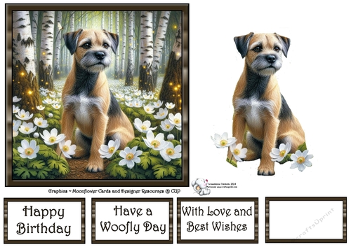 Beautiful Birch Forest Dogs (7) 2