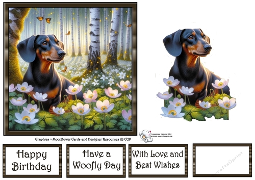 Beautiful Birch Forest Dogs (7) 3