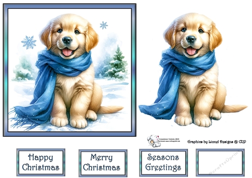 Golden puppy with blue scarf 1