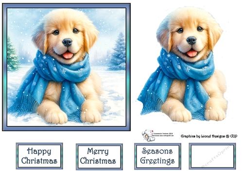 Golden puppy with blue scarf 2