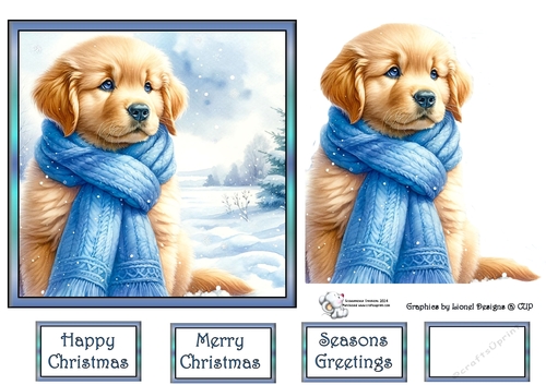 Golden puppy with blue scarf 3