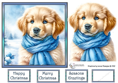 Golden puppy with blue scarf 4