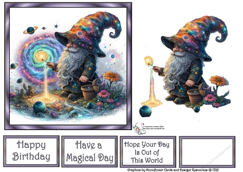 Galactic Gnome 1