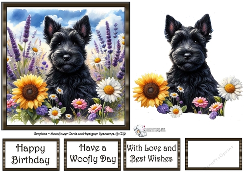 Many Flowers Pups (2) 1