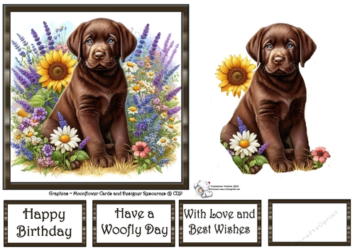 Many Flowers Pups (9) 1