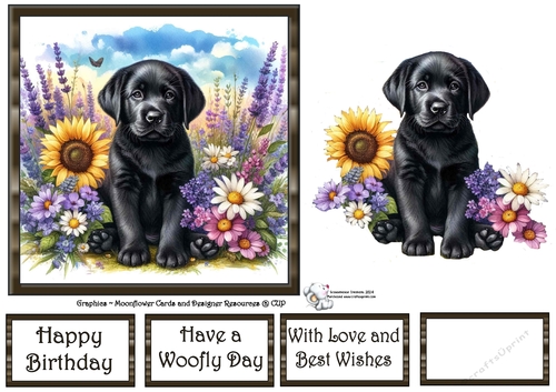 Many Flowers Pups (9) 3