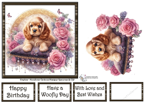 Velvet Rose Pups  (10) 2