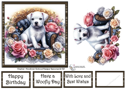 Velvet Rose Pups (3) 1