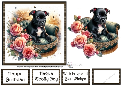 Velvet Rose Pups (3) 3