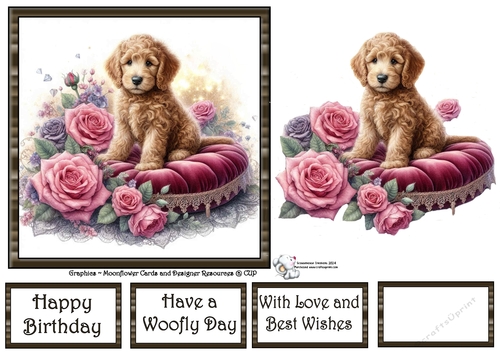 Velvet Rose Pups (6) 1