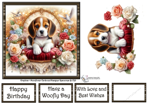 Velvet Rose Pups (6) 2