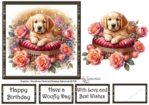 Velvet Rose Pups (6) 3