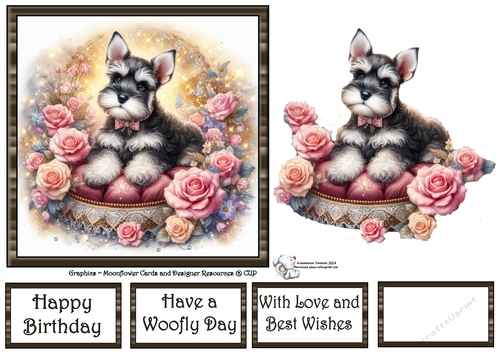 Velvet Rose Pups (7) 2