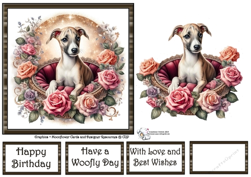 Velvet Rose Pups (7) 3