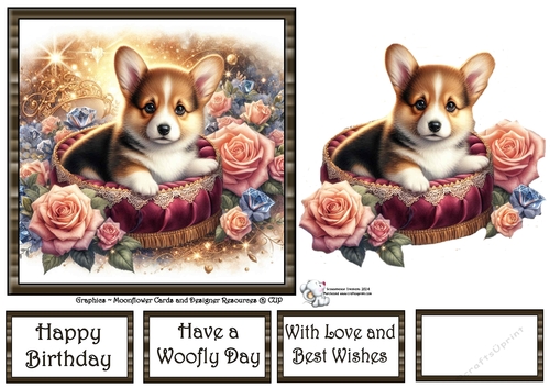 Velvet Rose Pups (9) 1