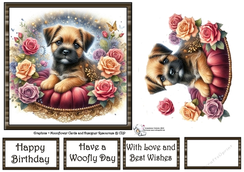 Velvet Rose Pups (9) 2