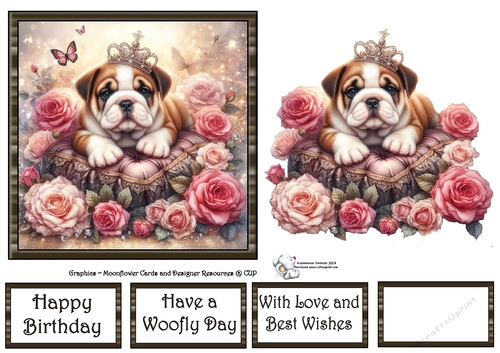 Velvet Rose Pups (9) 3