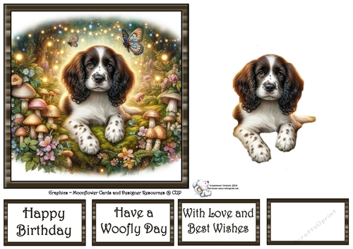 Fairy Glen Pups (5) 2
