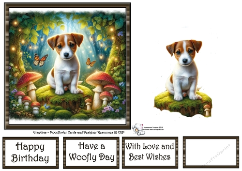 Fairy Glen Pups (5) 3