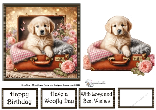 Suitcase Pups (1) 2