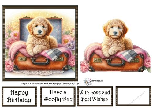 Suitcase Pups (1) 3