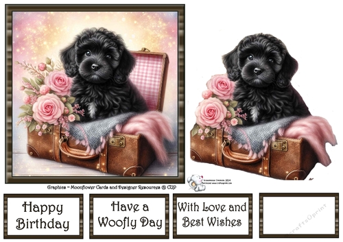 Suitcase Pups (3) 1