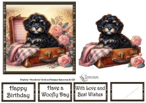Suitcase Pups (3) 2