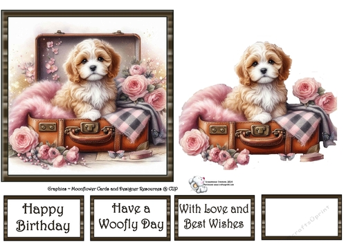 Suitcase Pups (3) 3