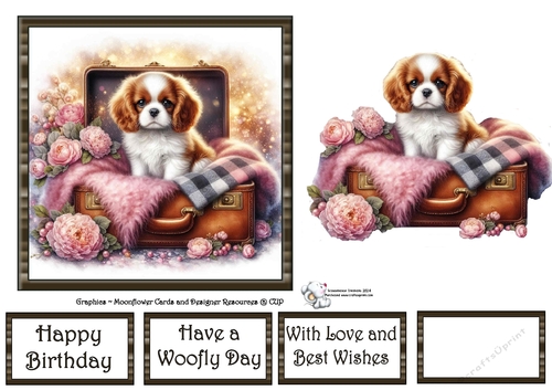 Suitcase Pups (3) 4