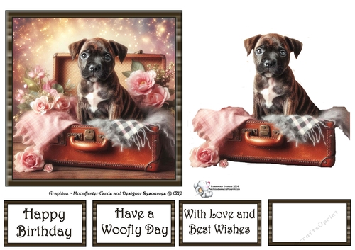 Suitcase Pups (4) 2