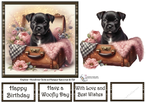 Suitcase Pups (4) 3