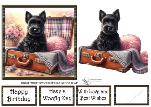 Suitcase Pups (8) 1