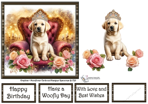 Sweet Tiara Pups (1) 3