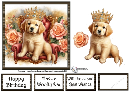 Sweet Tiara Pups (3) 2