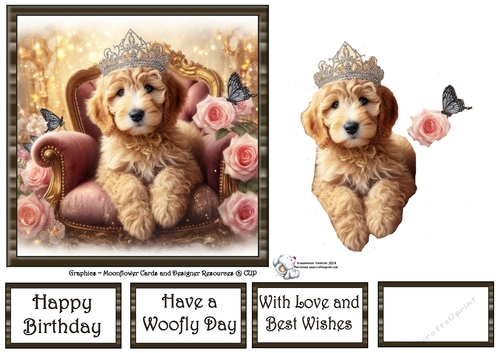 Sweet Tiara Pups (3) 3