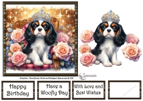 Sweet Tiara Pups (4) 2