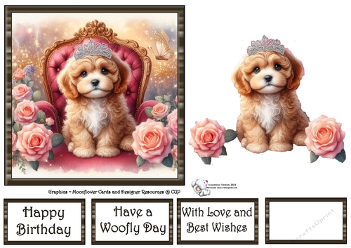 Sweet Tiara Pups (6) 1